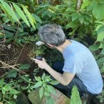 Attività di ricerca del MUSNAF: campionamenti di molluschi alieni nelle serre tropicali - Foto D. Barbato